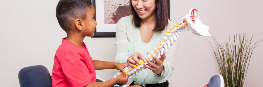 what-are-the-5-sections-of-the-spine-spinal-column-anatomy